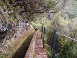 Levada das 25 Fonte 