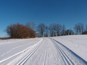 Parádně upravená trať v úseku Jistebnice - Křivošín